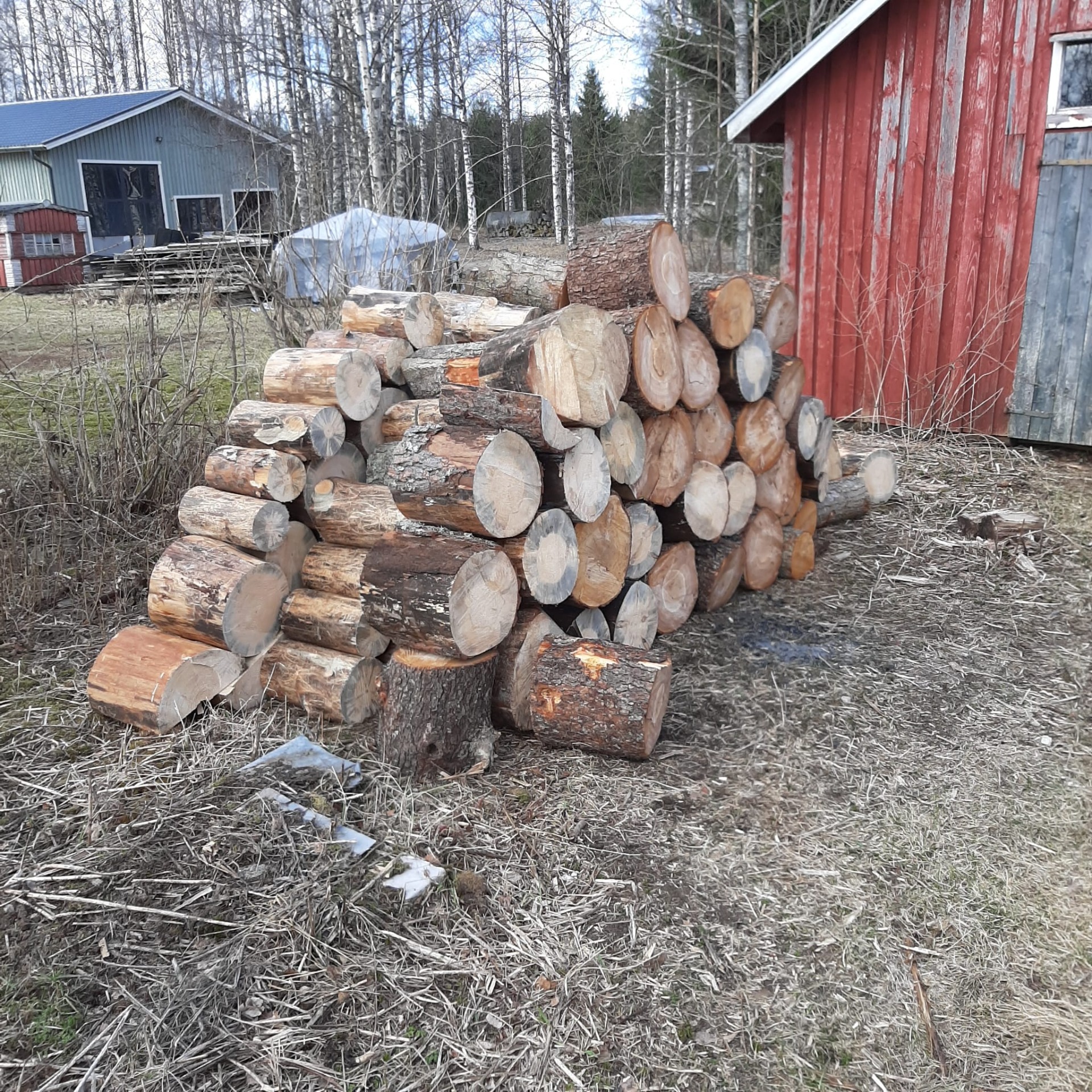 Pöllit kutsuvat pilkkojia